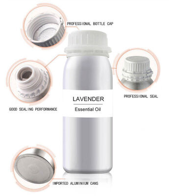 Branded Perfume Fragrance Oil for Candle and Soap Making Wholesale Diffuser Essential Oil New for Reed Burner Diffusers
